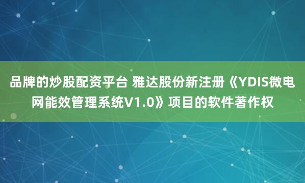 品牌的炒股配资平台 雅达股份新注册《YDIS微电网能效管理系统V1.0》项目的软件著作权