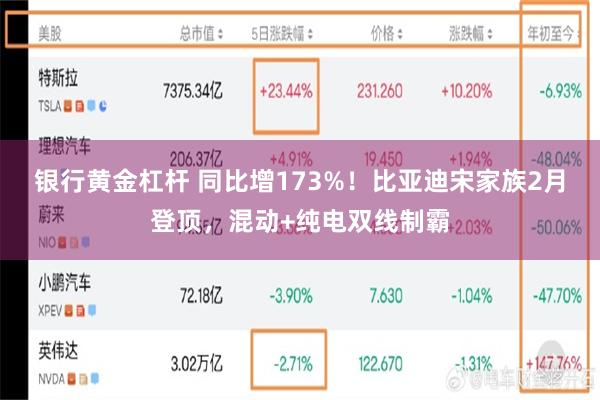 银行黄金杠杆 同比增173%！比亚迪宋家族2月登顶，混动+纯电双线制霸