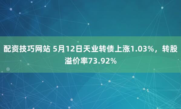 配资技巧网站 5月12日天业转债上涨1.03%，转股溢价率73.92%