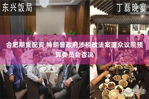 合肥期货配资 特朗普政府涉税改法案遭众议院预算委员会否决