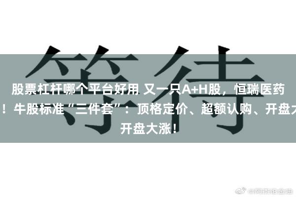 股票杠杆哪个平台好用 又一只A+H股，恒瑞医药来了！牛股标准“三件套”：顶格定价、超额认购、开盘大涨！