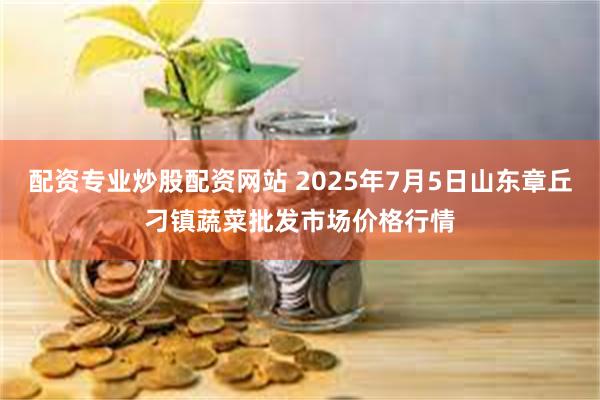 配资专业炒股配资网站 2025年7月5日山东章丘刁镇蔬菜批发市场价格行情