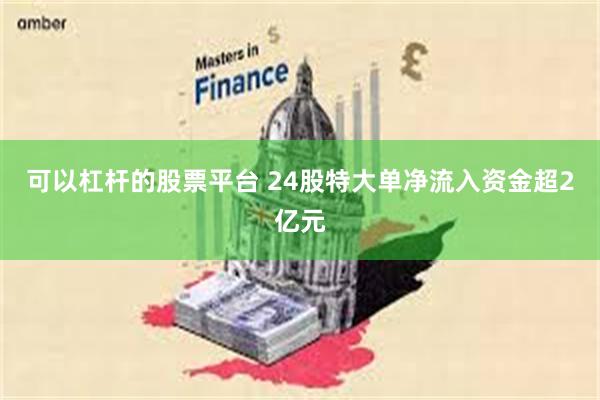 可以杠杆的股票平台 24股特大单净流入资金超2亿元