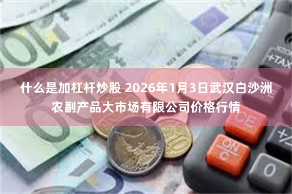 什么是加杠杆炒股 2026年1月3日武汉白沙洲农副产品大市场有限公司价格行情